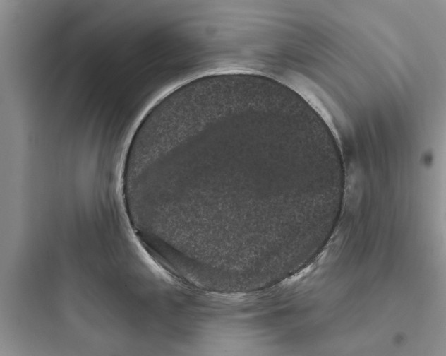 X0000097631197200803211802