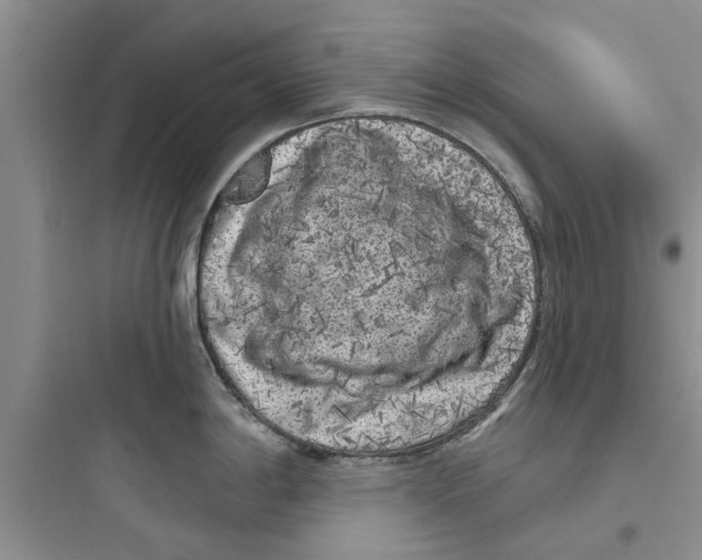 X0000097631198200803211802