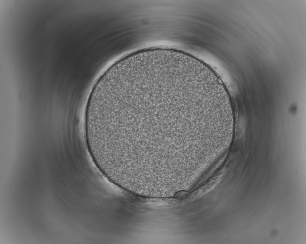 X0000097631199200803211802