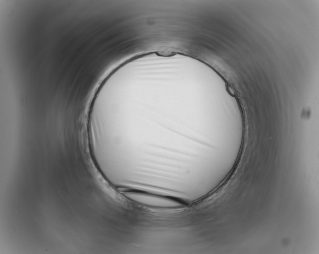 X0000097631200200803211802