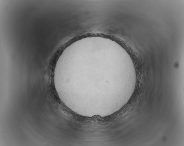 X0000097631207200803211801