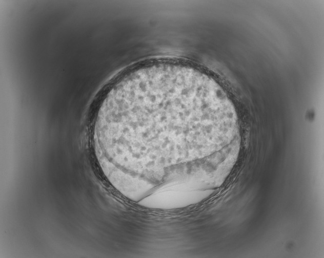 X0000097631208200803211801