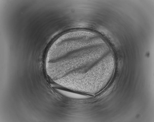 X0000097631210200803211801