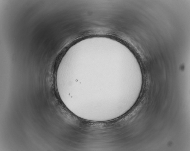 X0000097631211200803211801