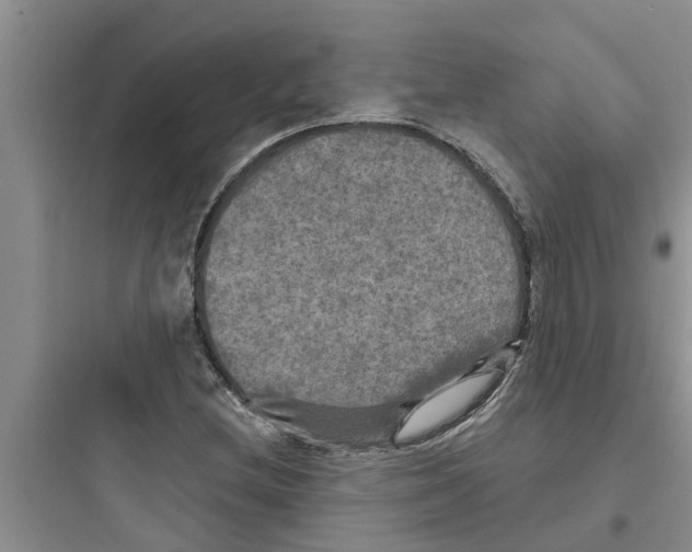 X0000097631212200803211801