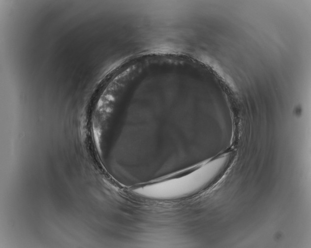 X0000097631213200803211801