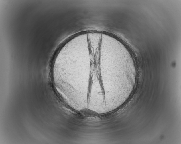 X0000097631215200803211801