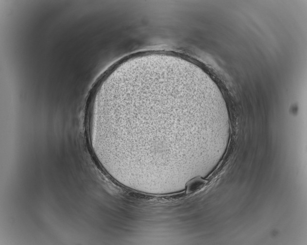 X0000097631216200803211801