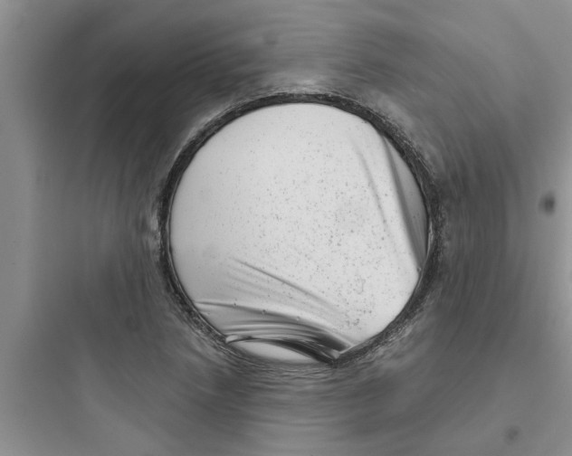 X0000097631218200803211801