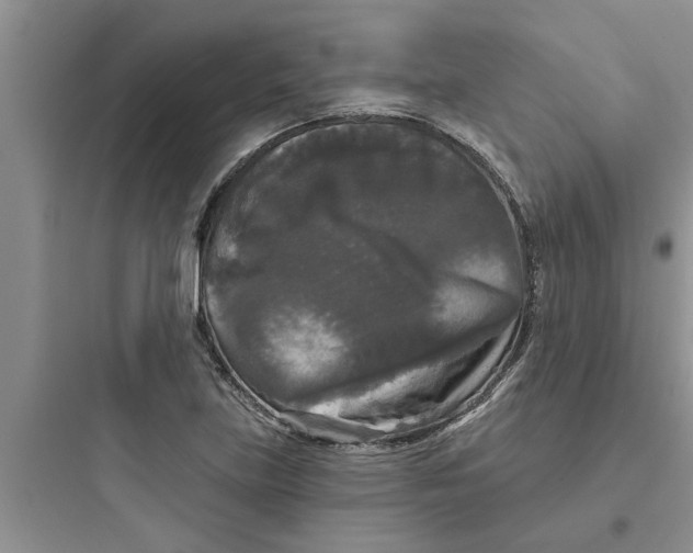 X0000097631219200803211801