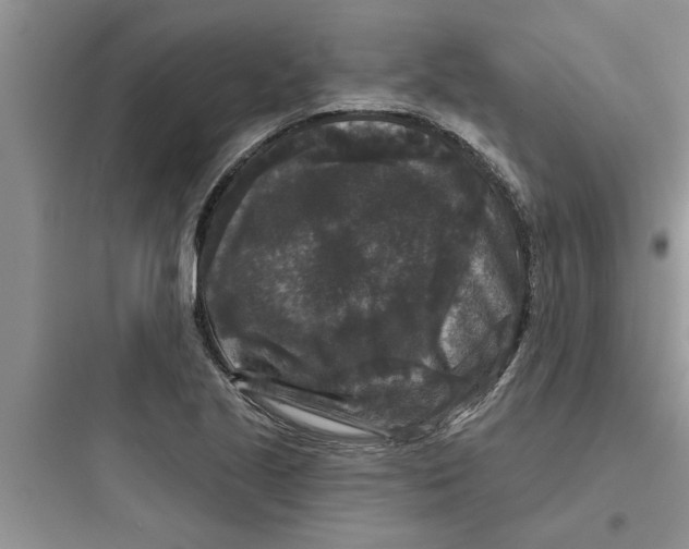 X0000097631221200803211801