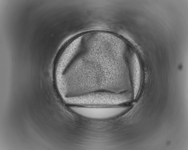 X0000097631222200803211801