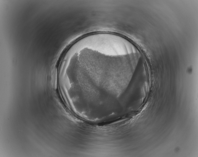 X0000097631223200803211801