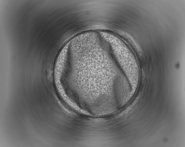 X0000097631225200803211801