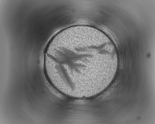 X0000097631227200803211801