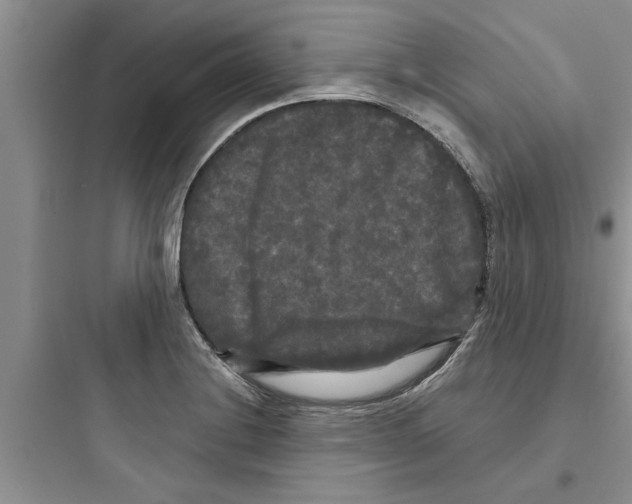 X0000097631228200803211801