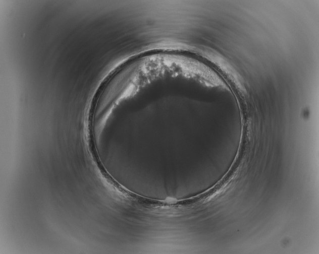 X0000097631229200803211801