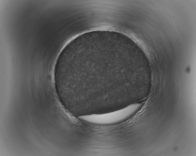 X0000097631230200803211801