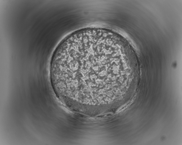 X0000097631232200803211801