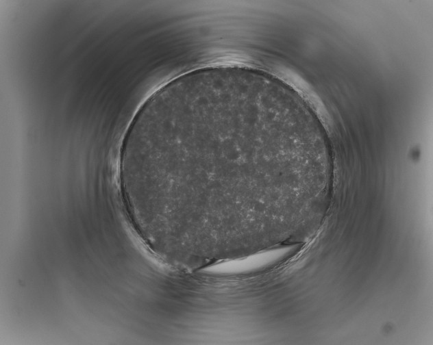 X0000097631234200803211801