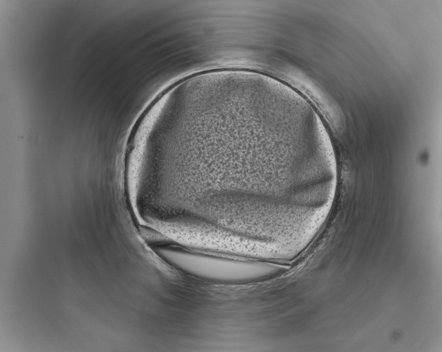 X0000097631236200803211801