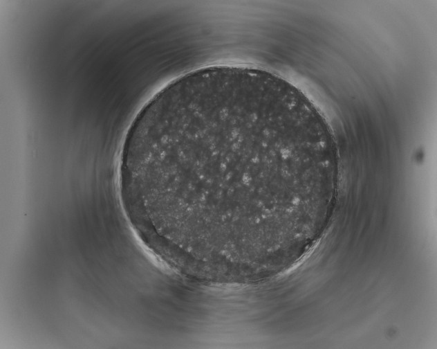 X0000097631237200803211801