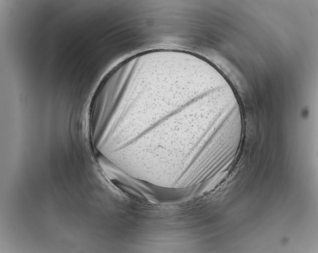 X0000097631238200803211801