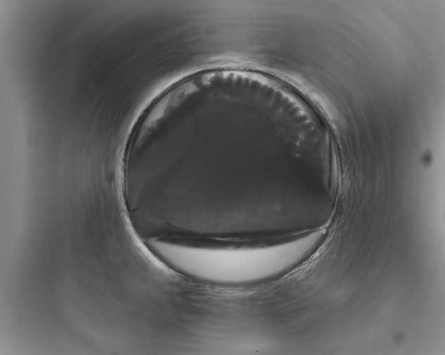 X0000097631239200803211801