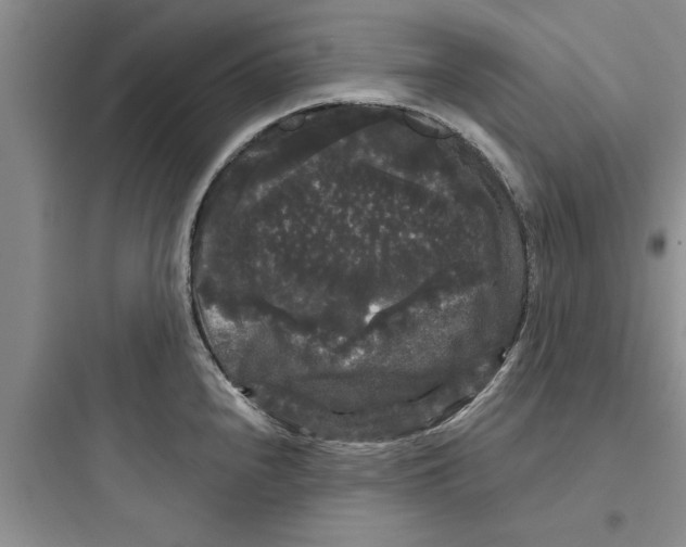 X0000097631240200803211801