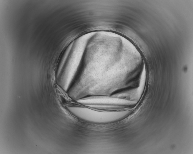 X0000097631241200803211801