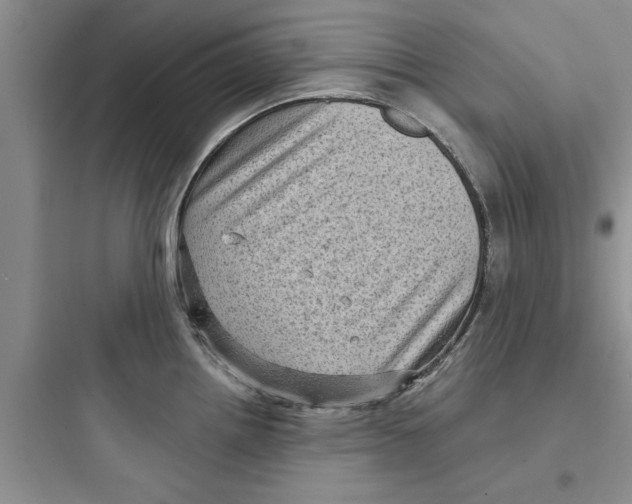 X0000097631242200803211801