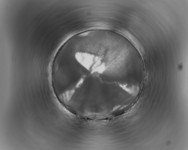 X0000097631243200803211801