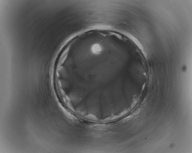 X0000097631245200803211801