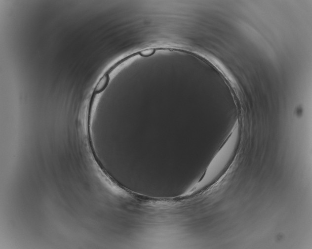 X0000097631246200803211801