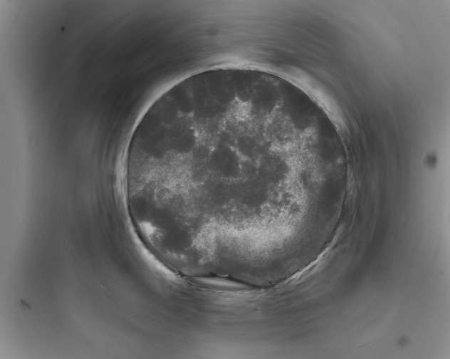 X0000097631247200803211801