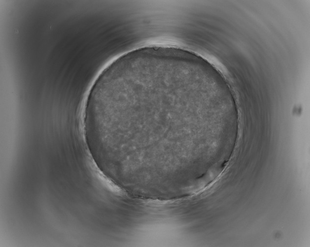 X0000097631248200803211801