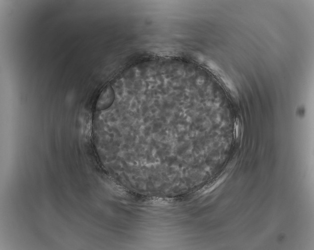 X0000097631251200803211801