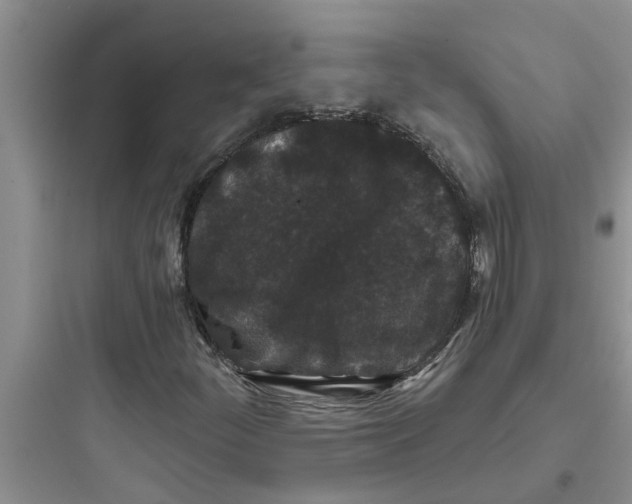 X0000097631252200803211801