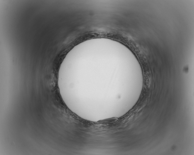 X0000097631253200803211801