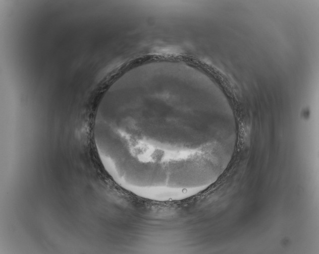 X0000097631254200803211801