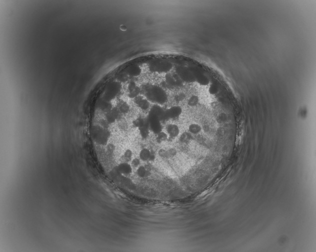 X0000097631255200803211801