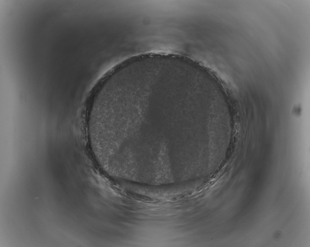 X0000097631256200803211801