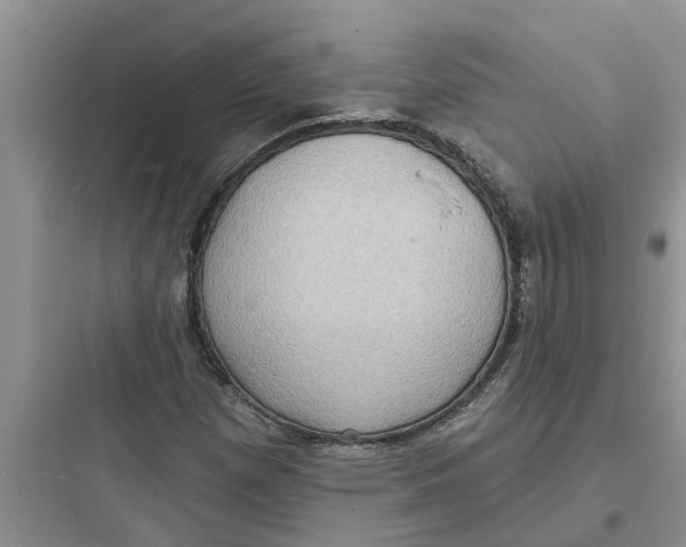 X0000097631257200803211801