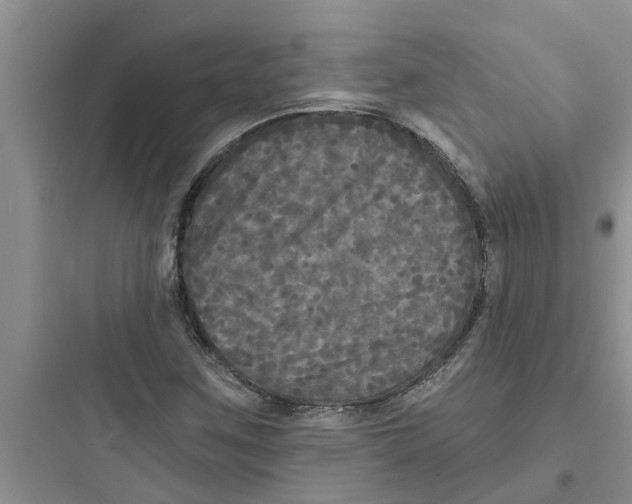 X0000097631259200803211801