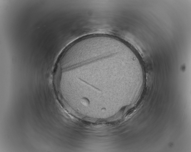 X0000097631260200803211801