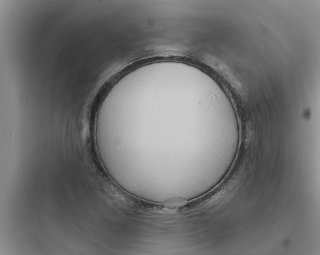 X0000097631261200803211801