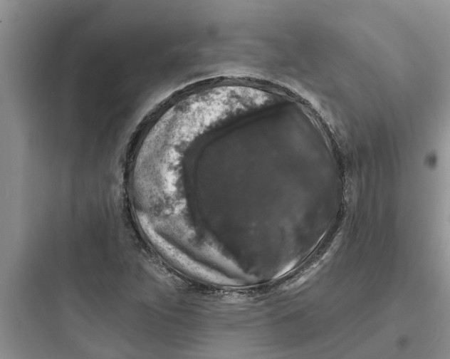 X0000097631263200803211801