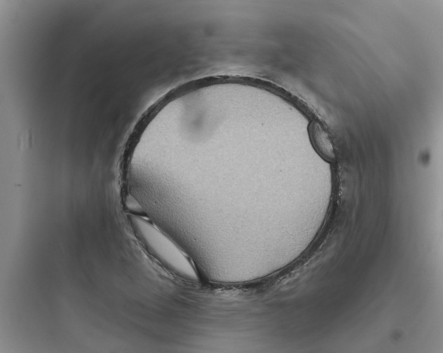 X0000097631264200803211801