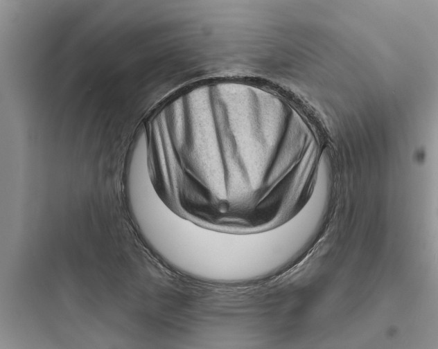 X0000097631265200803211801