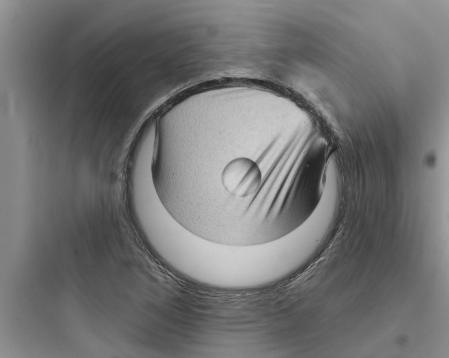 X0000097631266200803211800